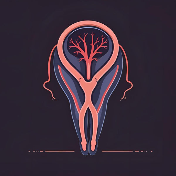 Period Cramps Power pack roll on